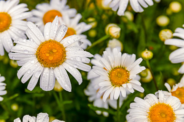 Similar image 21041620