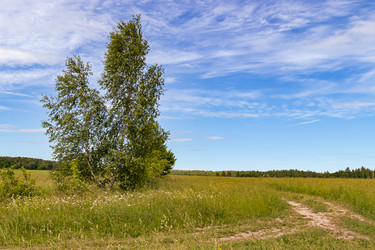 Similar image 21041621