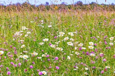 Similar image 21041624