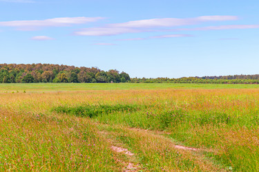 Similar image 21041625