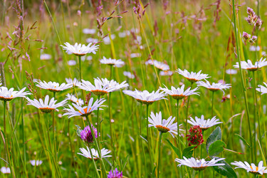 Similar image 21041626