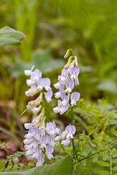 Similar image 21041627