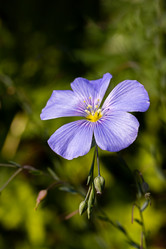 Similar image 21041628