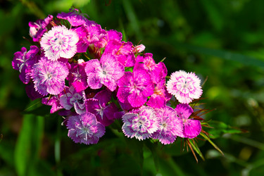 Similar image 21041630