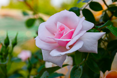 Similar image 21041862