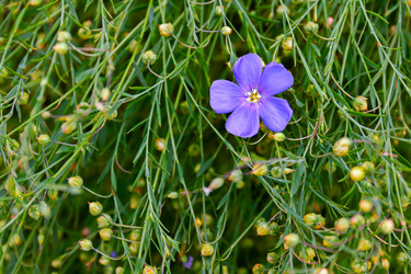 Similar image 21041864