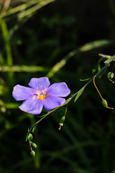 Similar image 21041865