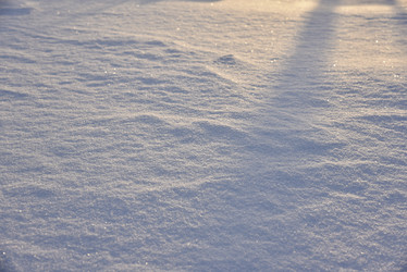 Similar image 21030068