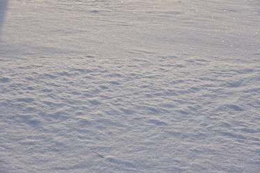 Similar image 21030069