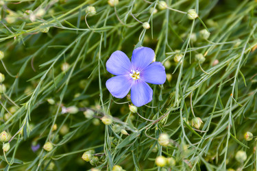 Similar image 21053983