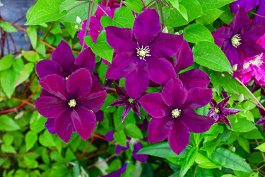 Similar image 21053985