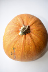 Similar image 21029883