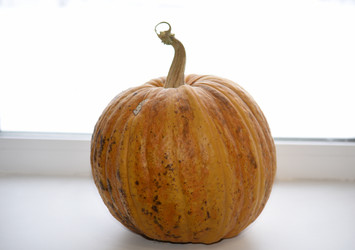 Similar image 21029886