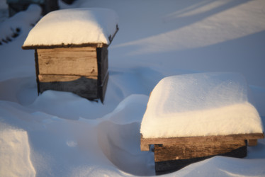 Similar image 21029976