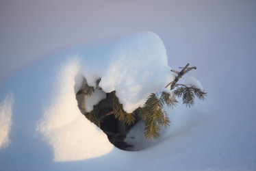 Similar image 21029978