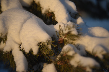 Similar image 21029979