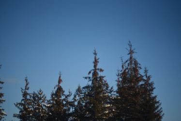 Similar image 21029980