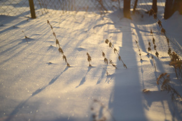 Similar image 21029983