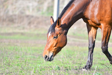 Similar image 21034224