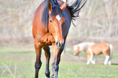 Similar image 21034225