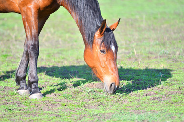 Similar image 21034226