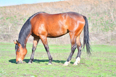 Similar image 21034178