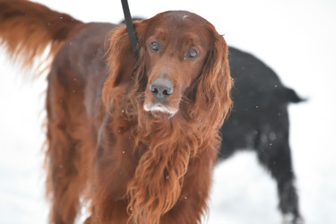 Similar image 21034238