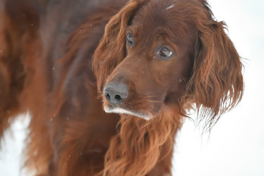 Similar image 21034239