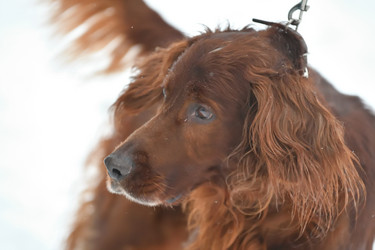 Similar image 21034240