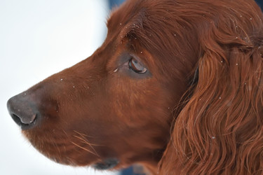 Similar image 21034241