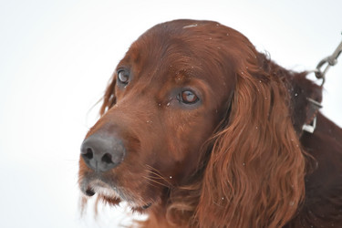 Similar image 21034242