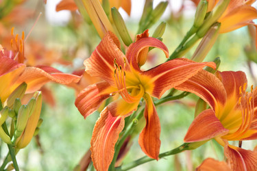 Similar image 21034191