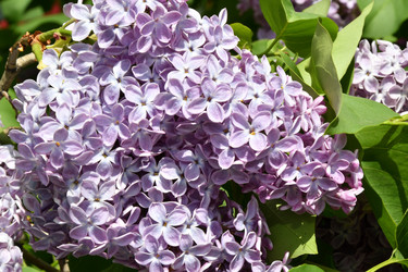 Similar image 21034260