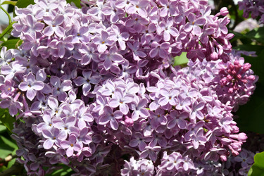 Similar image 21034261