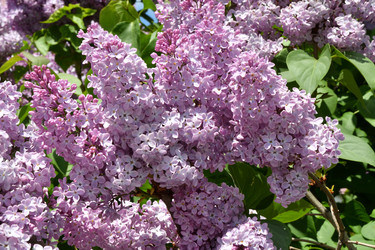 Similar image 21034262