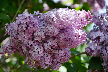 Similar image 21034264