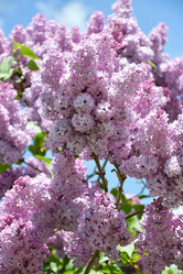 Similar image 21034192