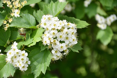 Similar image 21034268