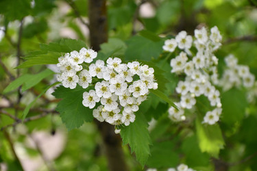 Similar image 21034193