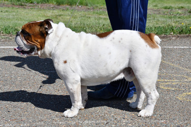 Similar image 21034194