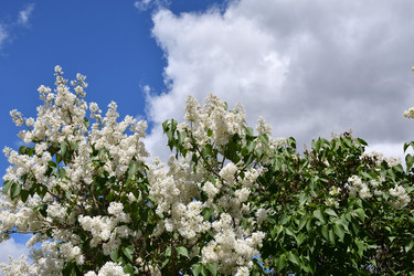 Similar image 21034297