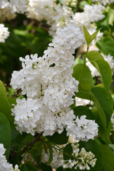 Similar image 21034298