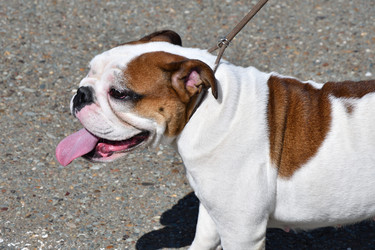 Similar image 21034300