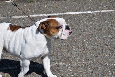 Similar image 21034301