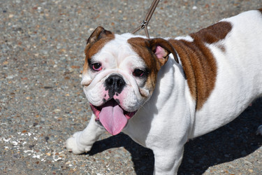 Similar image 21034302