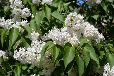 Similar image 21034312