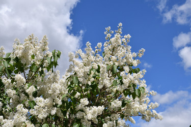 Similar image 21034315