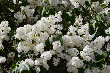 Similar image 21034316