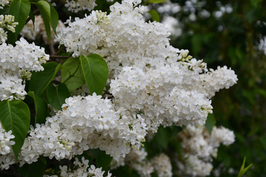 Similar image 21034317