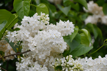 Similar image 21034318